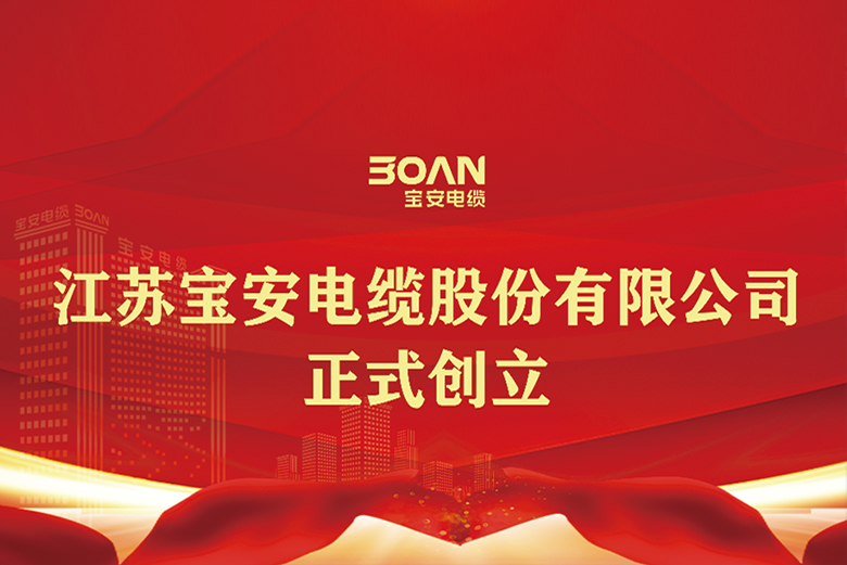 江苏宝安电缆股份有限公司正式成立