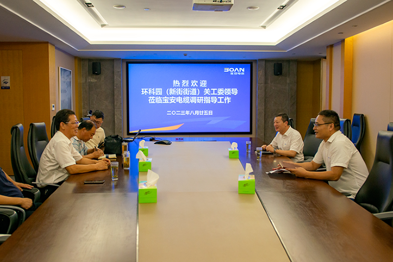 环科园（新街街道）关工委常务副主任蒋宝军一行莅临宝安电缆调研