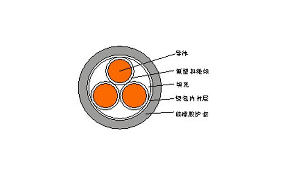 铜芯氟塑料绝缘氟塑料护套耐高温电力电缆