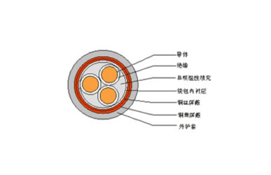 铜芯交联聚乙烯(聚氯乙烯)绝缘铜丝编织铜带绕包