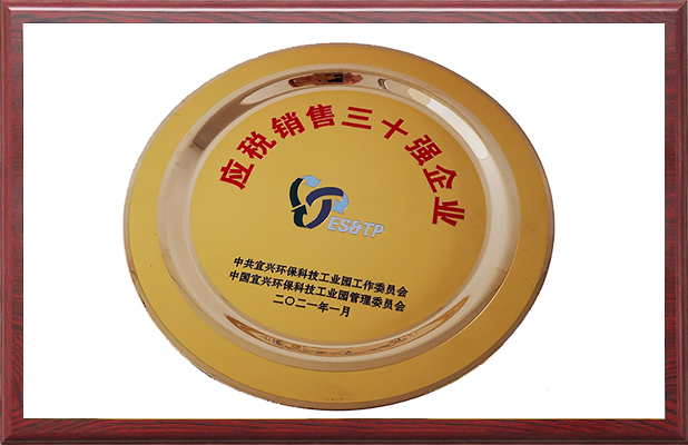 2020年应税销售三十强企业