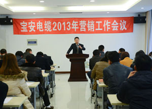 宝安电缆2013年营销工作会议隆重召开(图1)