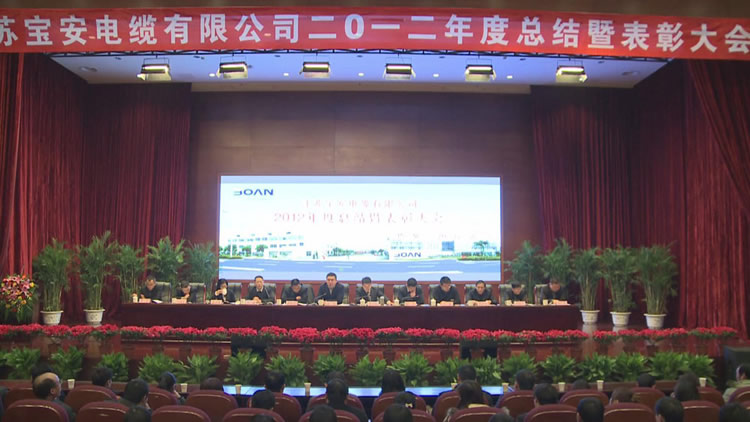 江苏宝安电缆有限公司2012年度总结暨表彰大会隆(图1)