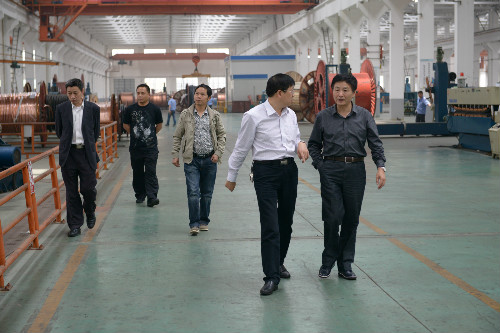安徽黄山供电公司领导莅临我公司参观指导(图2)