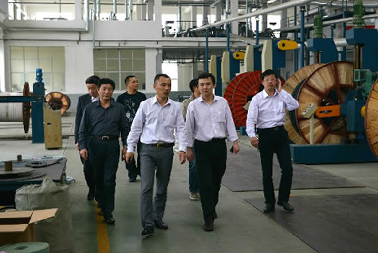 安徽黄山供电公司领导莅临我公司参观指导