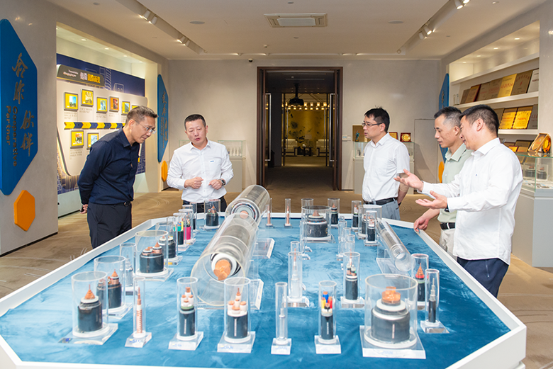 宜兴市工信局局长李长青莅临宝安电缆指导工作