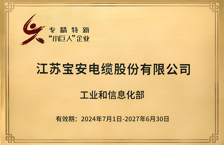 **级专精特新“小巨人”