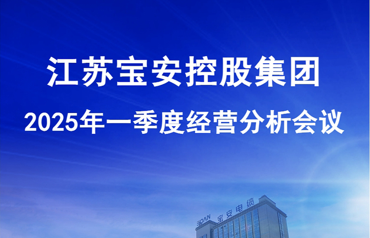 江苏宝安控股集团2025年一季度经营分析会议圆满召开