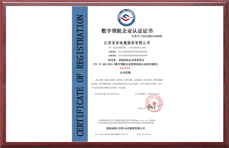数字领航企业认证证书